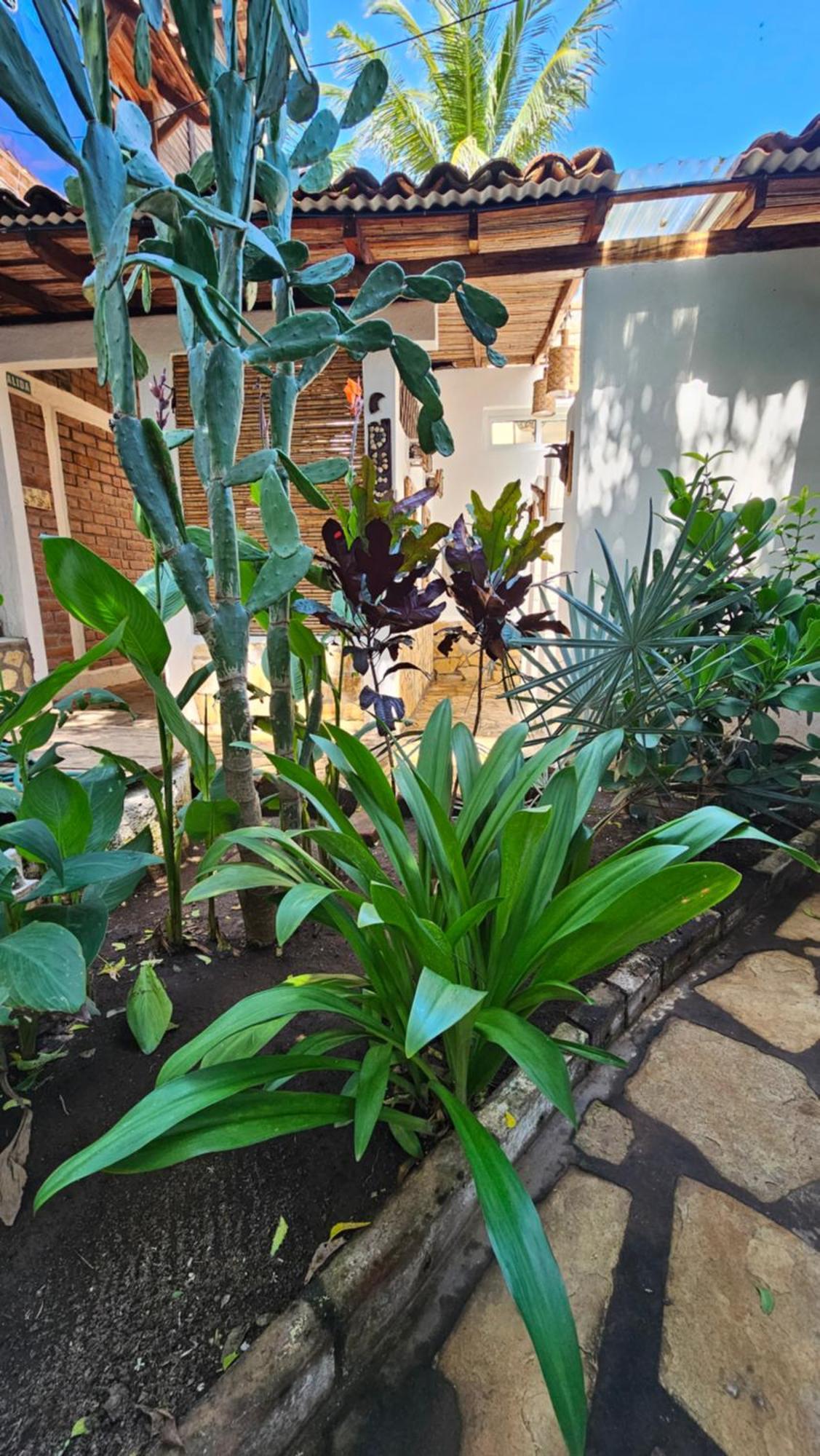 Mano A Mano Eco Hostal Las Penitas Ngoại thất bức ảnh