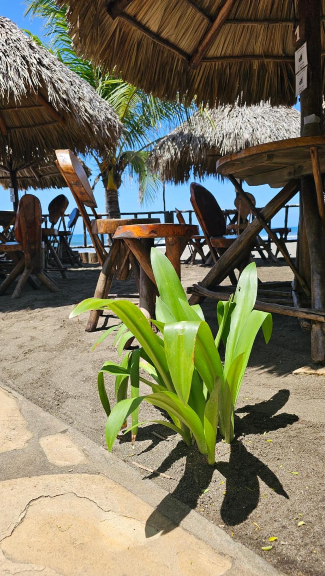 Mano A Mano Eco Hostal Las Penitas Ngoại thất bức ảnh